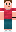 skin of a player