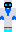 skin of a player