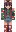 skin of a player