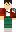 skin of a player