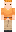 skin of a player