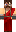 skin of a player