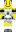 skin of a player