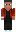 skin of a player
