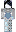 skin of a player