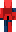 skin of a player