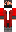 skin of a player