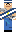 skin of a player