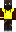 skin of a player