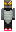 skin of a player