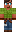 skin of a player