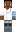 skin of a player
