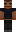 skin of a player