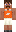skin of a player