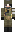 skin of a player