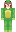 skin of a player