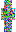 skin of a player