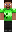 skin of a player