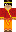 skin of a player