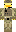 skin of a player
