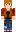 skin of a player