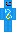 skin of a player