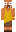 skin of a player