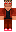 skin of a player