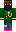 skin of a player