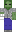 skin of a player