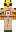 skin of a player