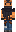 skin of a player