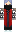 skin of a player