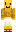 skin of a player