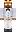 skin of a player