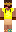 skin of a player