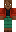 skin of a player