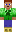 skin of a player