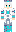 skin of a player