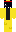 skin of a player