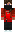 skin of a player