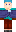 skin of a player