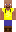 skin of a player