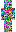 skin of a player