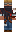 skin of a player