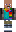 skin of a player