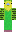 skin of a player