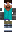 skin of a player