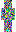 skin of a player