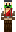 skin of a player